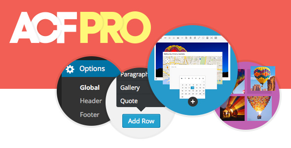 Advanced Custom Fields Pro v6.3.3 Free - 