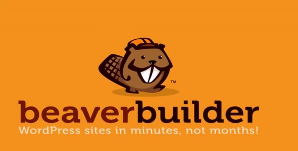 Beaver Builder Pro v2.8.3 Free - 