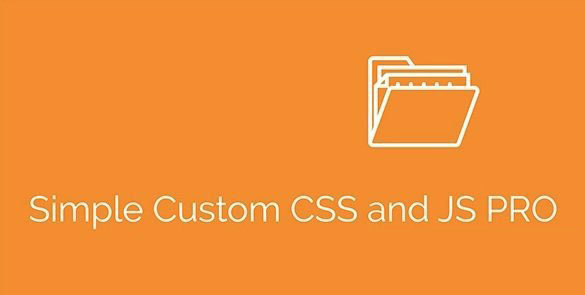 Simple Custom CSS and JS PRO v4.36 Free - 