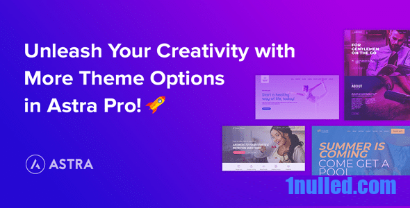 Astra Pro Addon v4.7.1 – Perfect Theme For Any Website Free - 