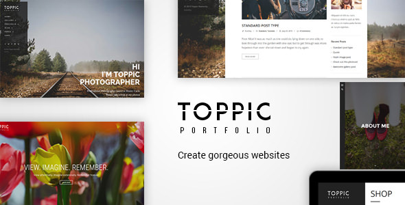 TopPic v4.3.2 Nulled - Тема для портфолио