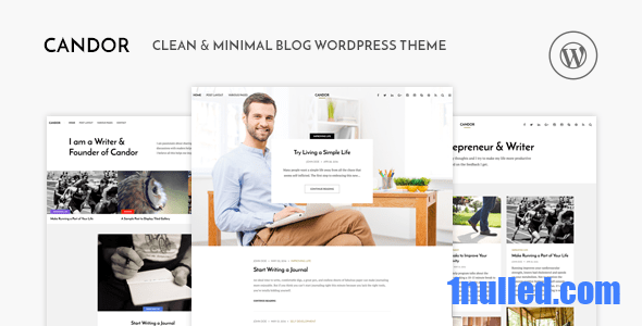 Candor v1.1.5 Nulled - Адаптивная тема блога WordPress