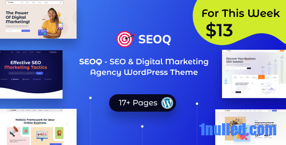 SEOQ v1.0.8 – SEO Digital Marketing Agency WordPress Theme - 