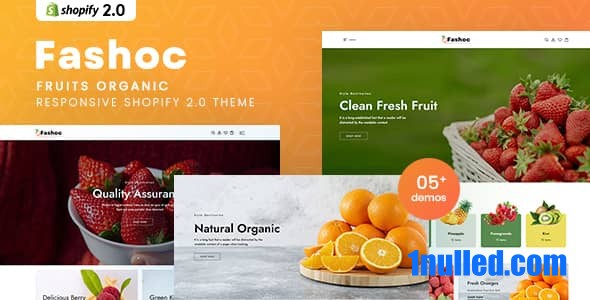 Fashoc Nulled - Органическая адаптивная тема «Фрукты» Shopify 2.0