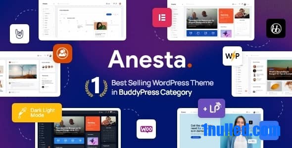 Anesta v1.2.1 Nulled - Тема WordPress для интрасети, экстрасети, сообщества и BuddyPress