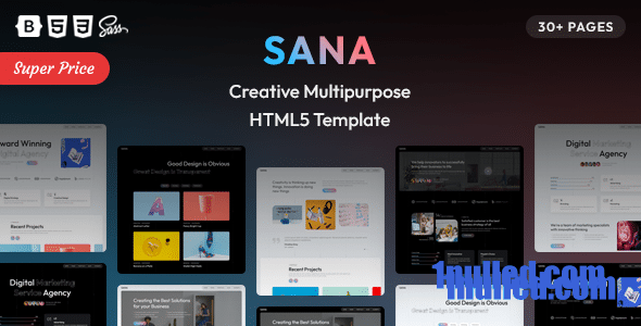 Sana Nulled - Креативный многоцелевой шаблон HTML5