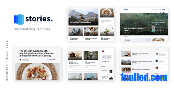 Stories v3.0 Nulled - Личный блог Шаблон React NextJS