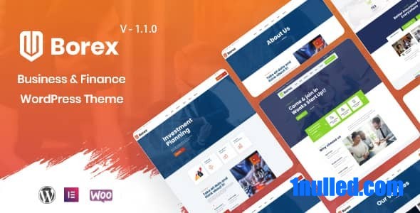 Borex v1.1.3 Nulled - Тема WordPress для бизнеса и финансов