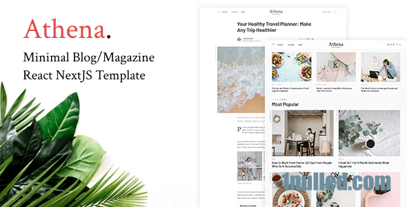 Athena Nulled - Минимальный шаблон блога/журнала NextJS