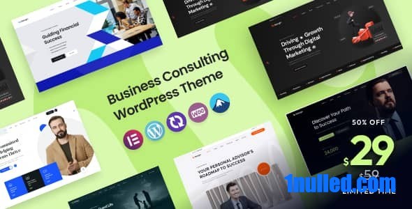 Seargin v1.0 Nulled - Тема WordPress для бизнес-консалтинга