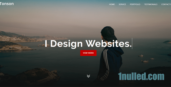 Tonson Nulled - Шаблон личного портфолио